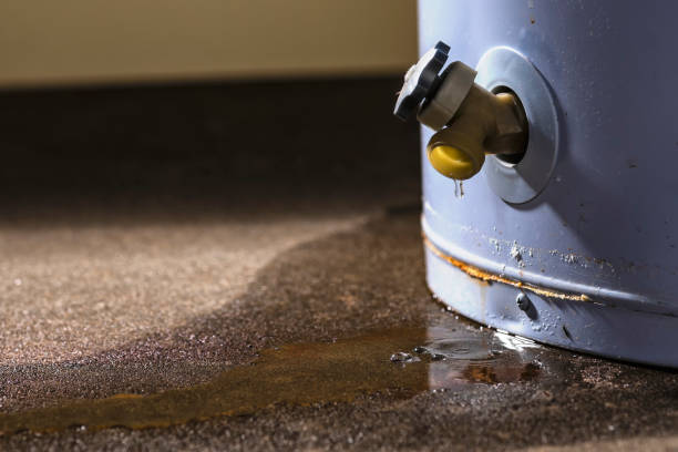 Best Commercial water damage restoration  in Eton, GA