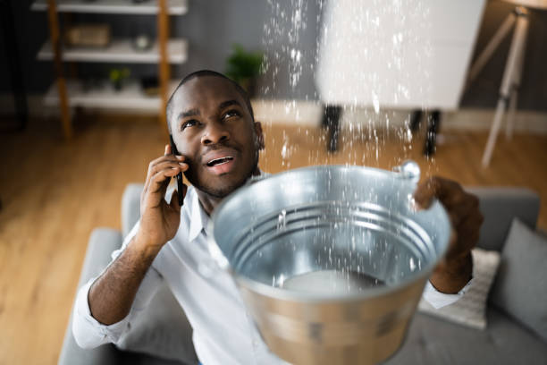 Best Flood restoration services  in Eton, GA