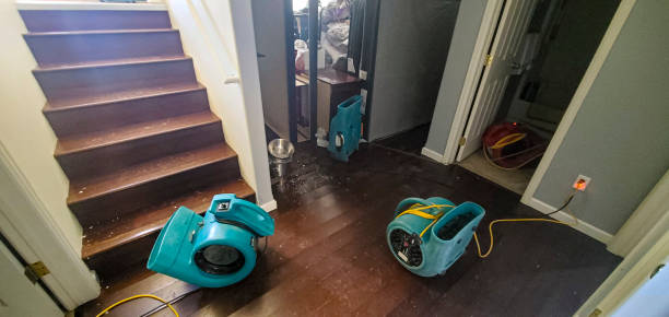 Best Water damage restoration experts  in Eton, GA