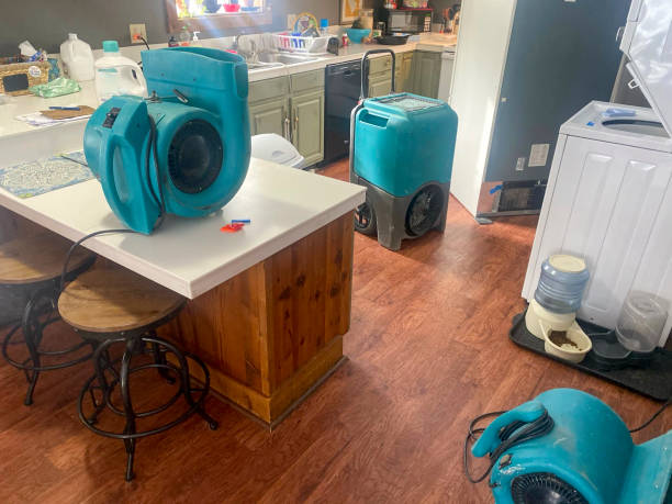 Best Carpet water damage restoration  in Eton, GA
