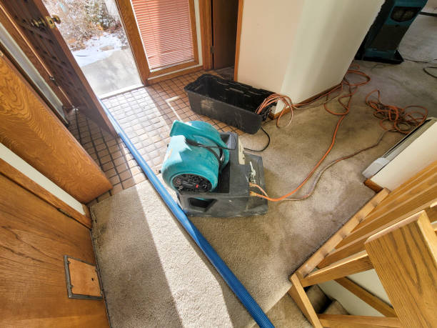  Eton, GA Water damage restoration Pros