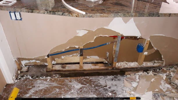Best Professional water damage repair  in Eton, GA