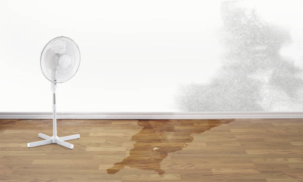 Best 24-hour water damage restoration  in Eton, GA