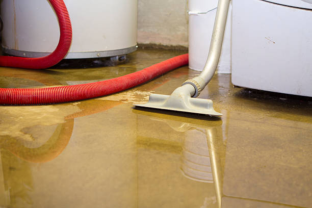 Best 24/7 water damage repair  in Eton, GA