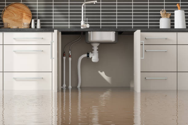 Best Professional water damage repair  in Eton, GA