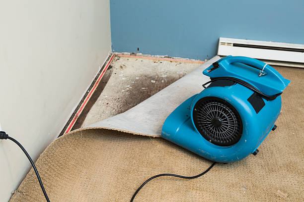Best Water damage cleanup near me  in Eton, GA