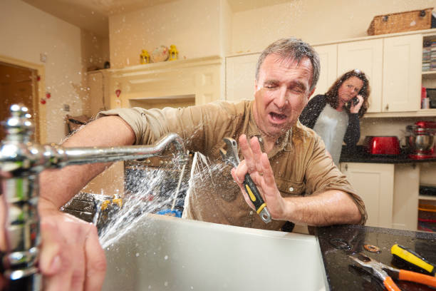Best Mold removal after water damage  in Eton, GA